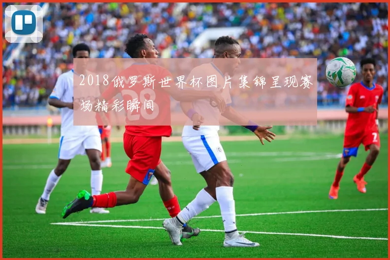 2018俄罗斯世界杯图片集锦呈现赛场精彩瞬间