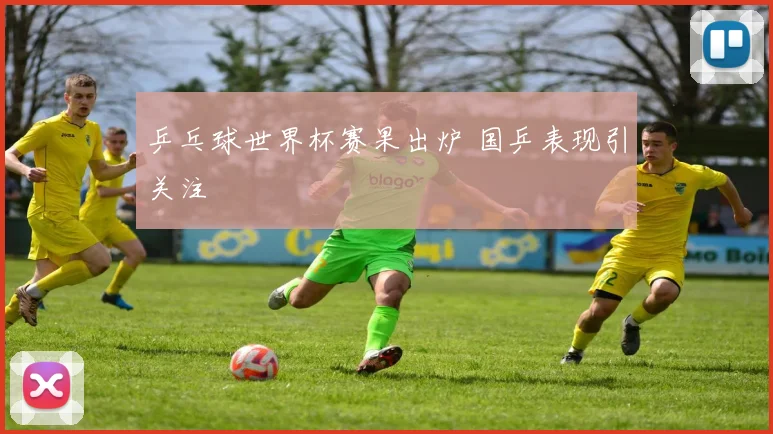 乒乓球世界杯赛果出炉 国乒表现引关注